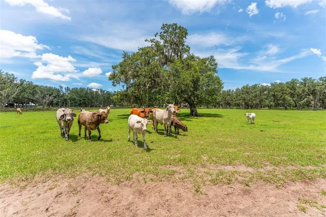 $1,750,000 | 2702 Rogers Ranch Road, Lithia, FL 33547