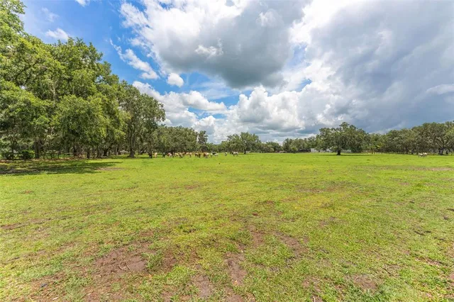 $1,750,000 | 2702 Rogers Ranch Road, Lithia, FL 33547