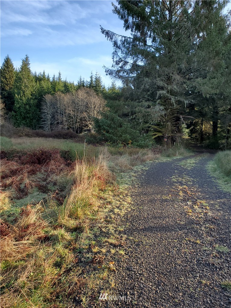 9999 South Valley Road Naselle, WA 98638 - Photo 3 of 4 Gallery Image 3
