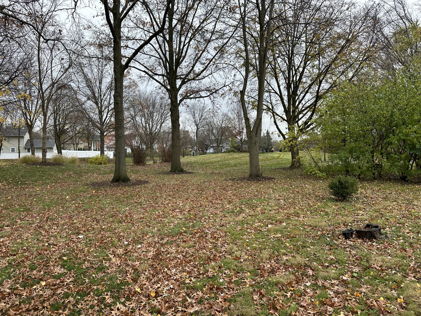 104 Devon Lane Naperville, IL 60540 - Photo 3 of 3 a view of a yard with a tree