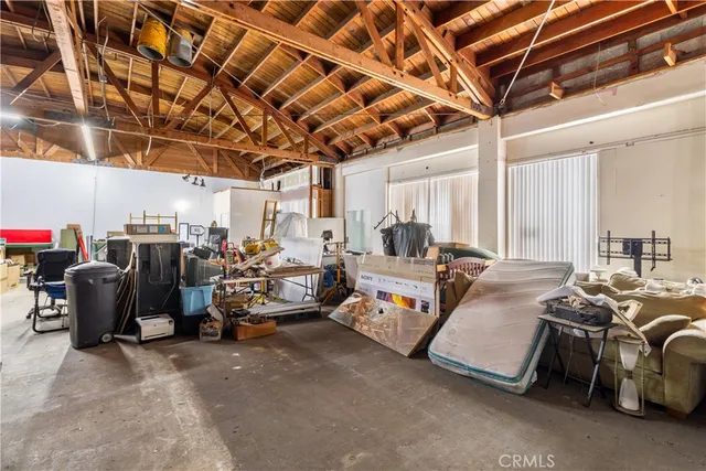 a plant with some trees in front of it