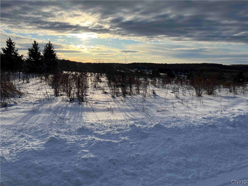 0 Grove Road Franklinville, NY 14737 - Photo 1 of 1 Gallery Image 1