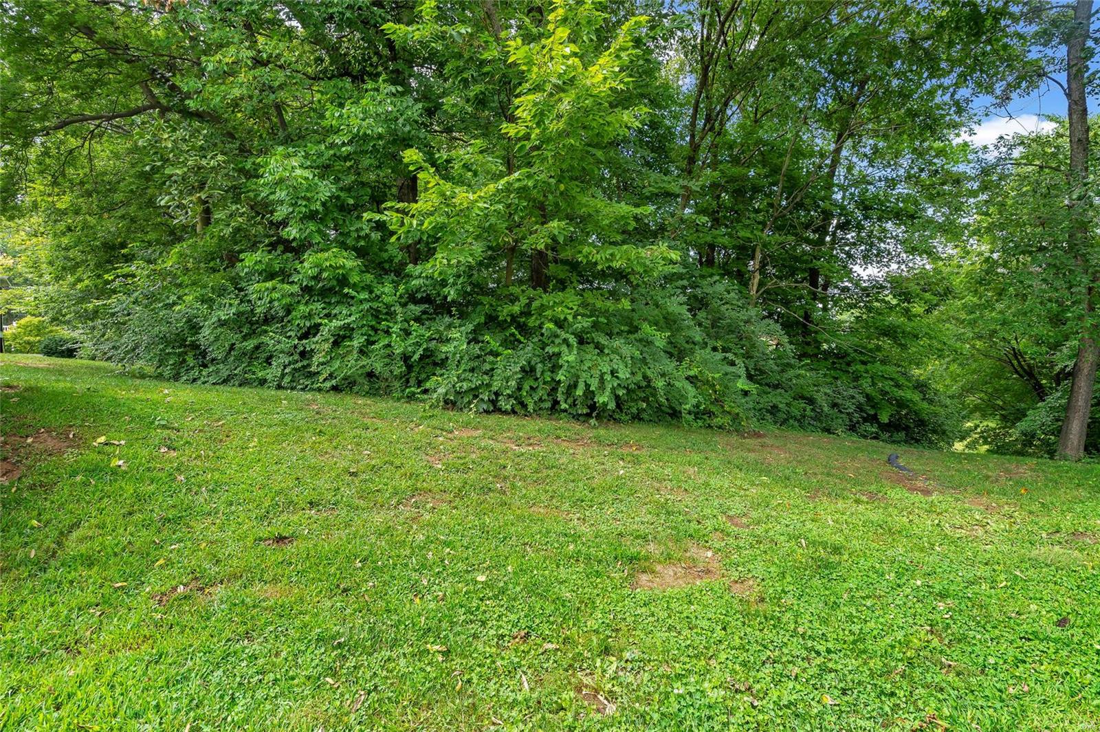 125 East Hunters Ridge Valmeyer, IL 62295 - Photo 38 of 45