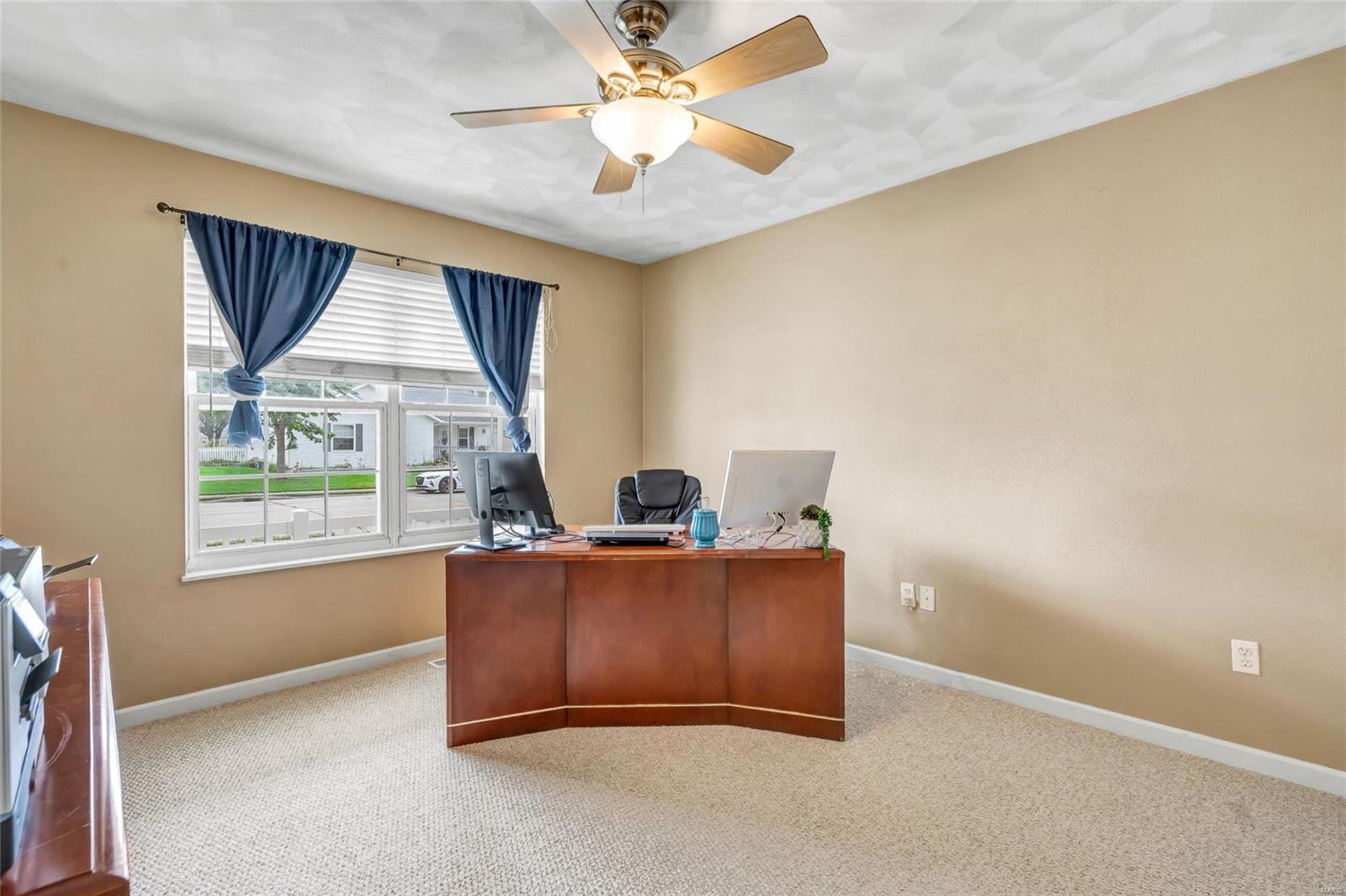 125 East Hunters Ridge Valmeyer, IL 62295 - Photo 9 of 45