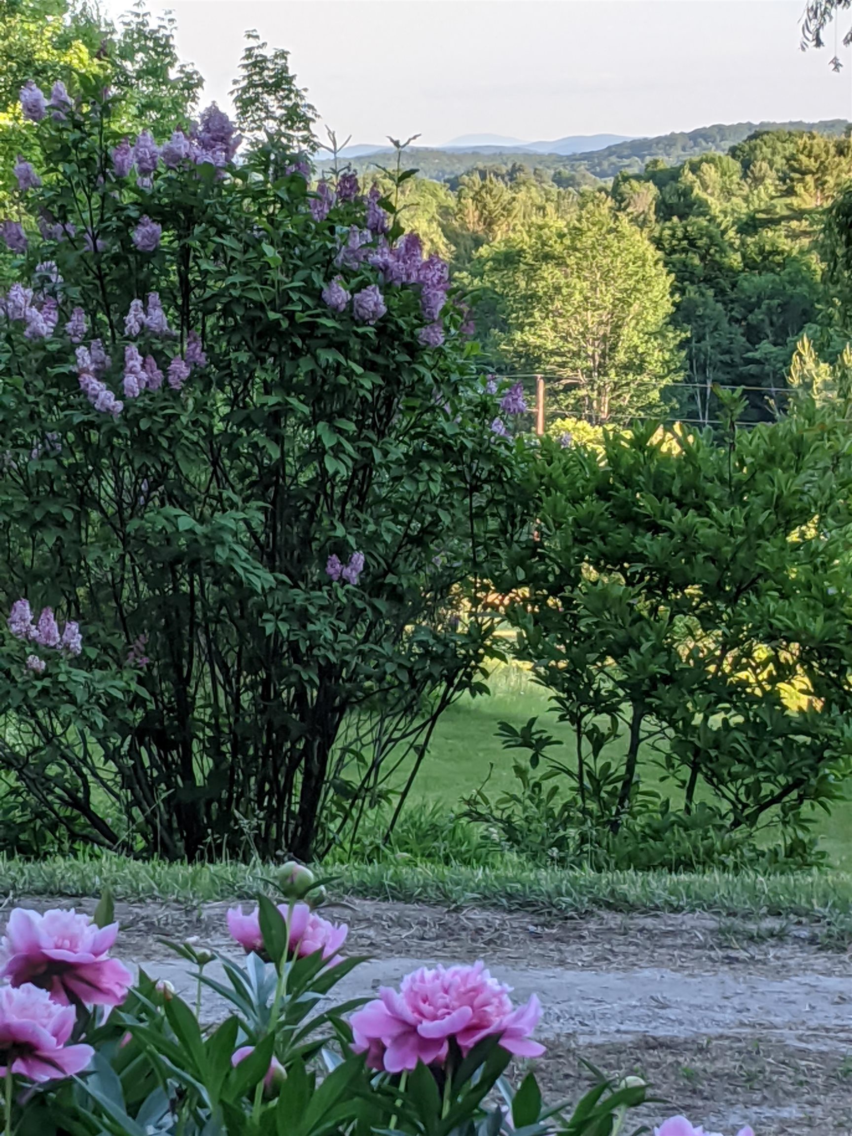 706 Lavender Road Brookfield, VT 05036 - Photo 38 of 40