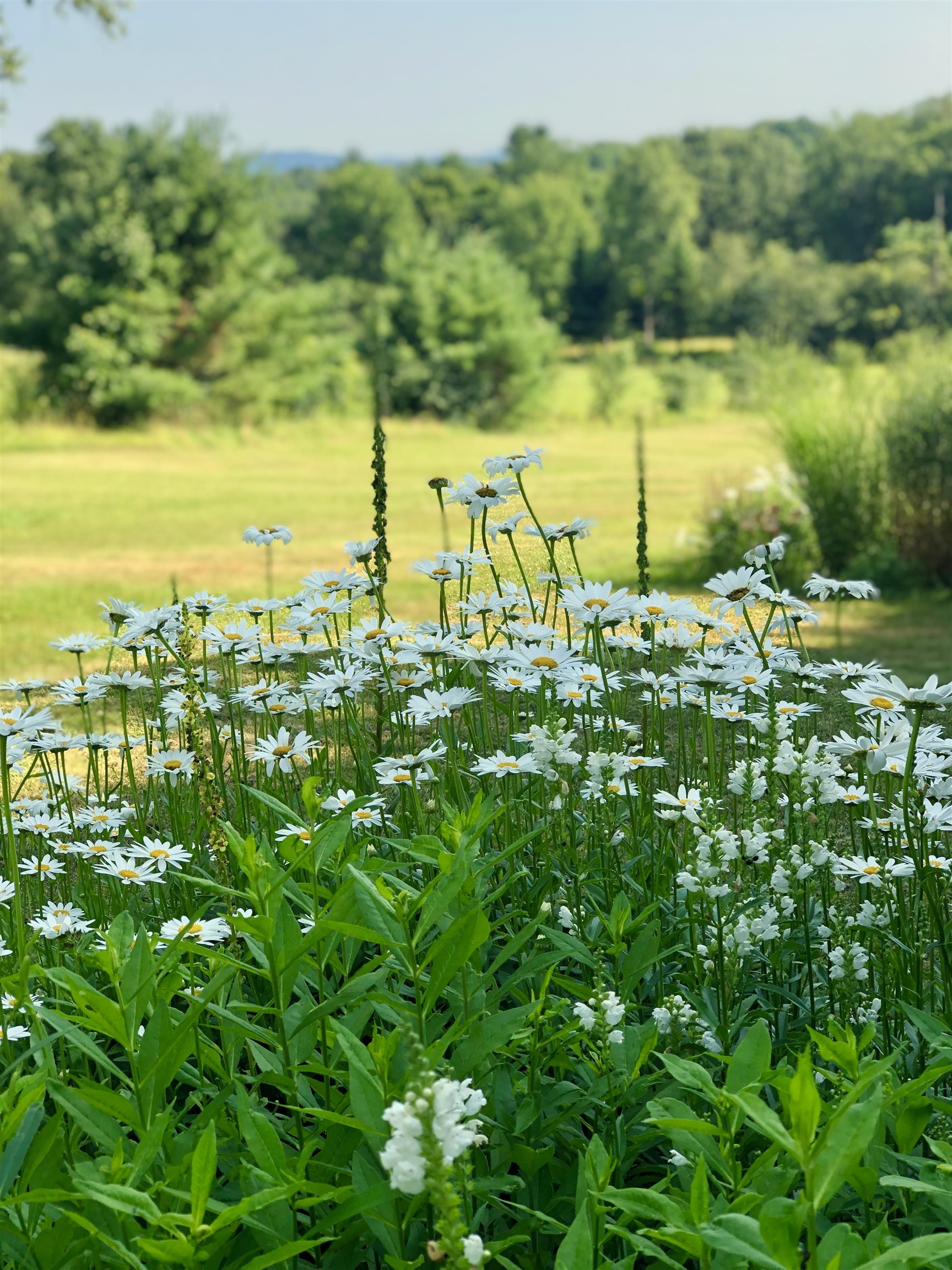 706 Lavender Road Brookfield, VT 05036 - Photo 8 of 40