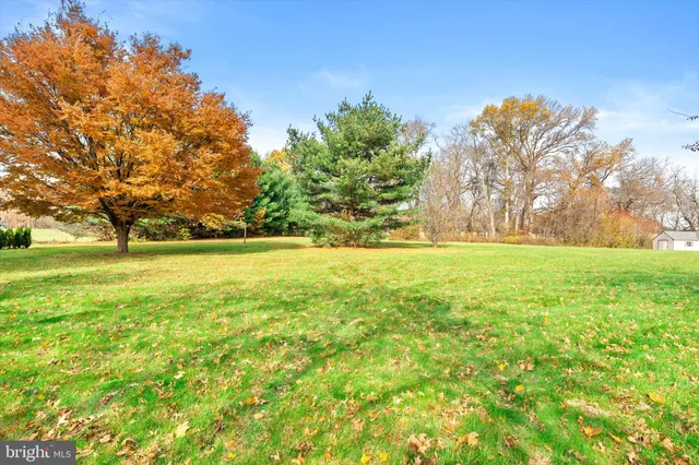 a view of outdoor space with green field and trees all around