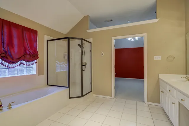 a bathroom with a sink a mirror and a shower