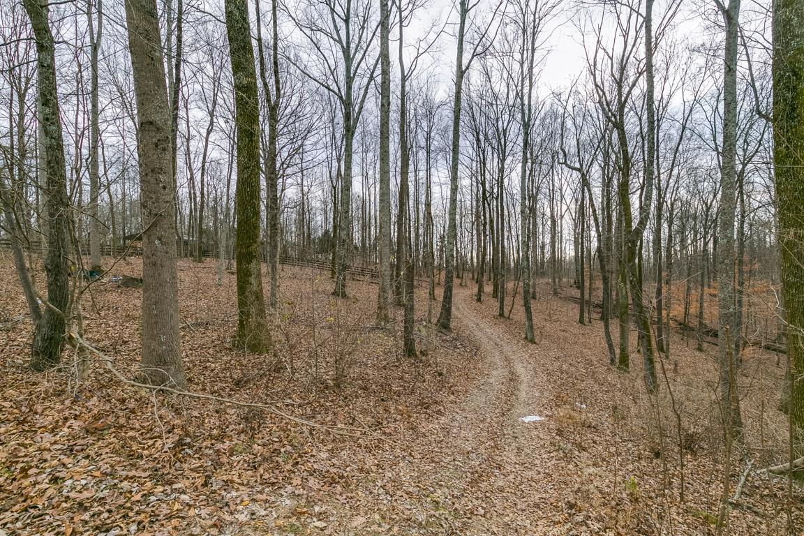 8914 Griffith Road Nashville, TN 37221 - Photo 20 of 22 Beautiful 2.94 acres