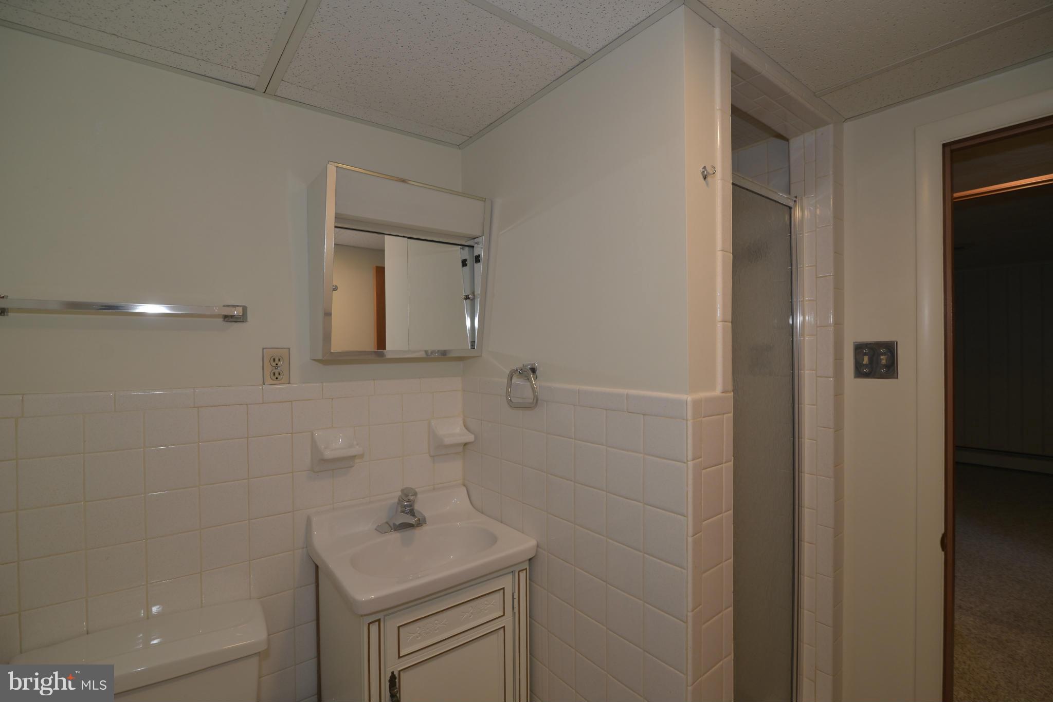 9032 Buckner Road Alexandria, VA 22309 - Photo 20 of 24 Basement