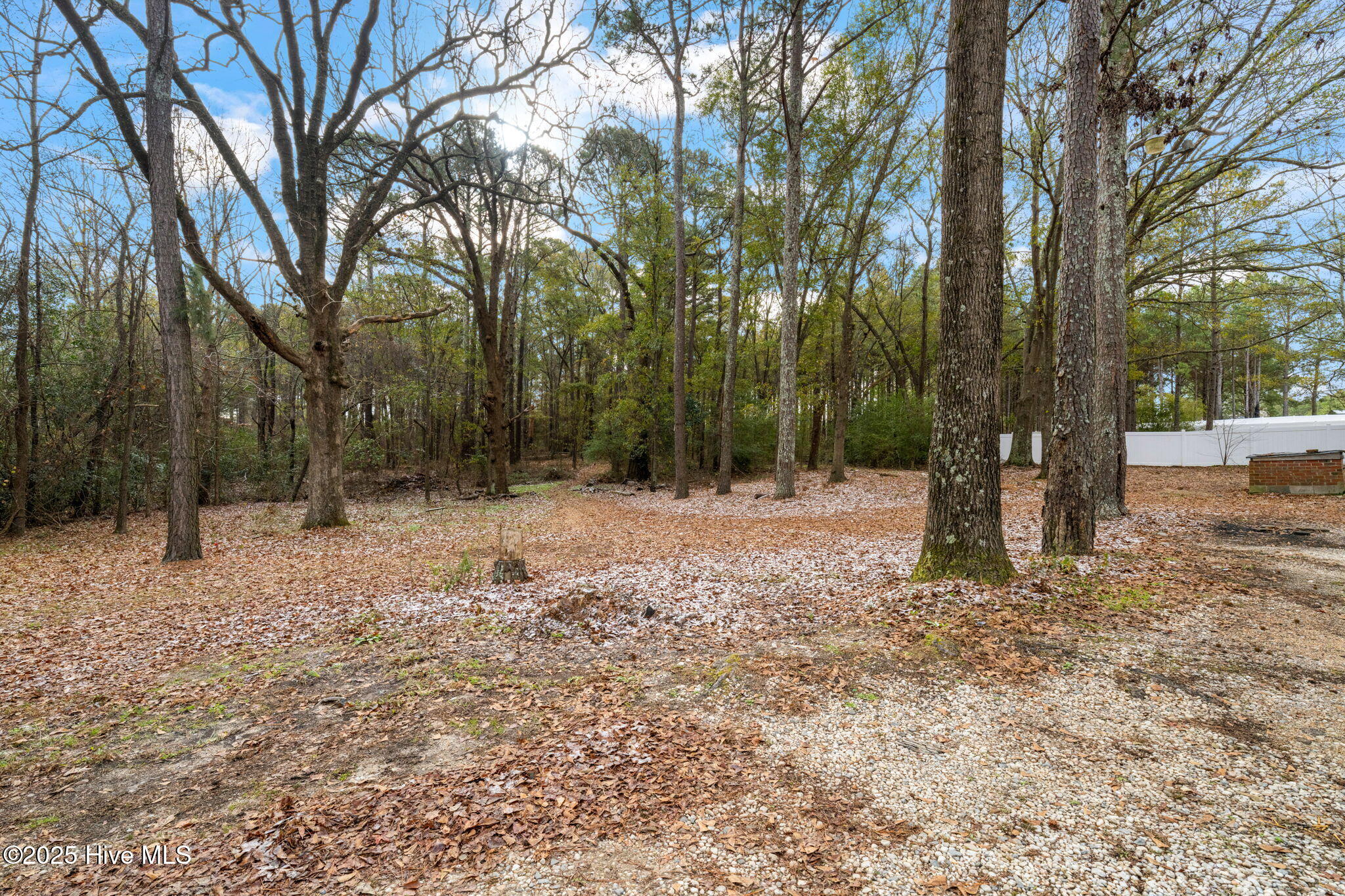 2469 Tarheel Road Benson, NC 27504 - Photo 30 of 31 36-web-or-mls-untitled-33