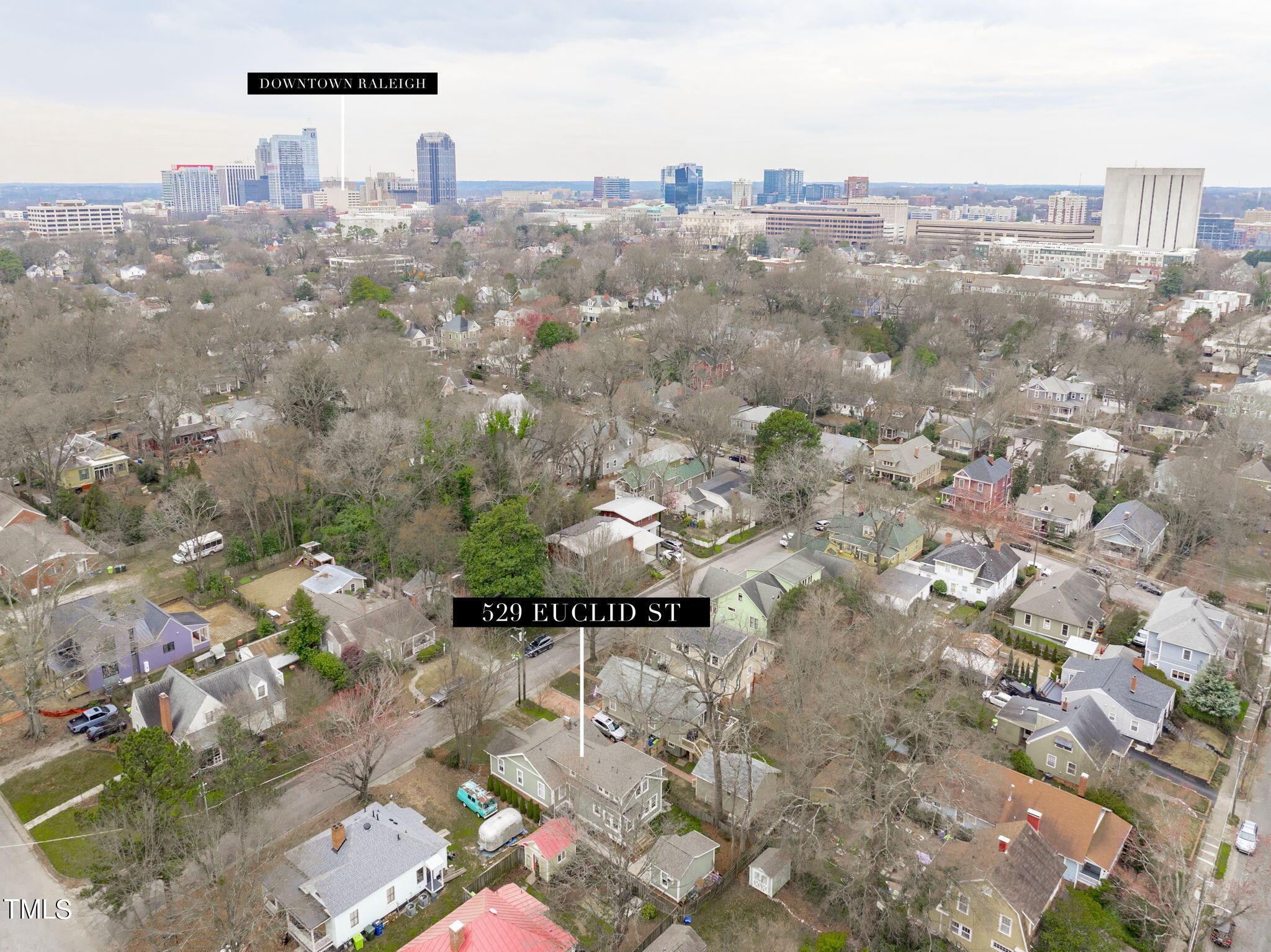529 Euclid Street Raleigh, NC 27604 - Photo 36 of 37 a view of a city