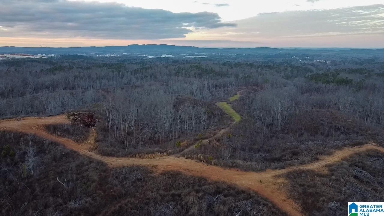 0 Coaling Road, Unit 1 Sylacauga, AL 35151 - Photo 1 of 4