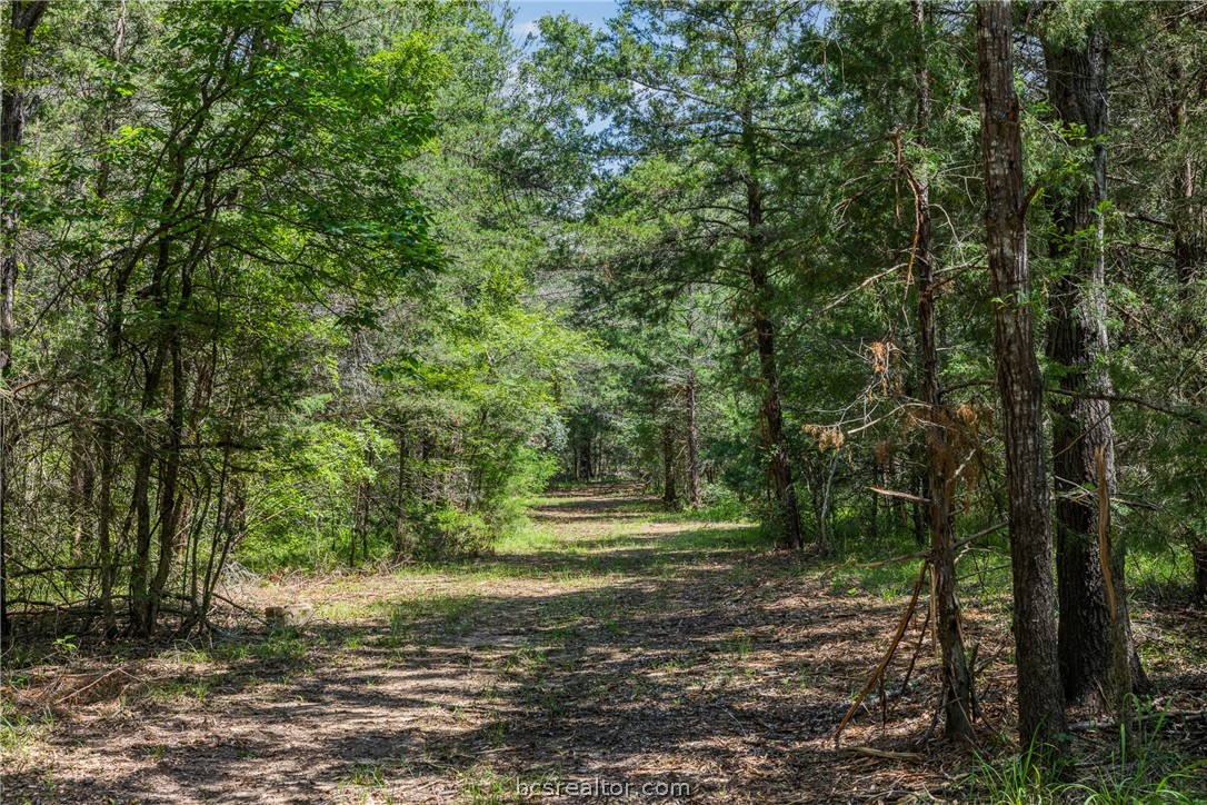 Tbd Weber Road Bryan, TX 77808 - Photo 6 of 43
