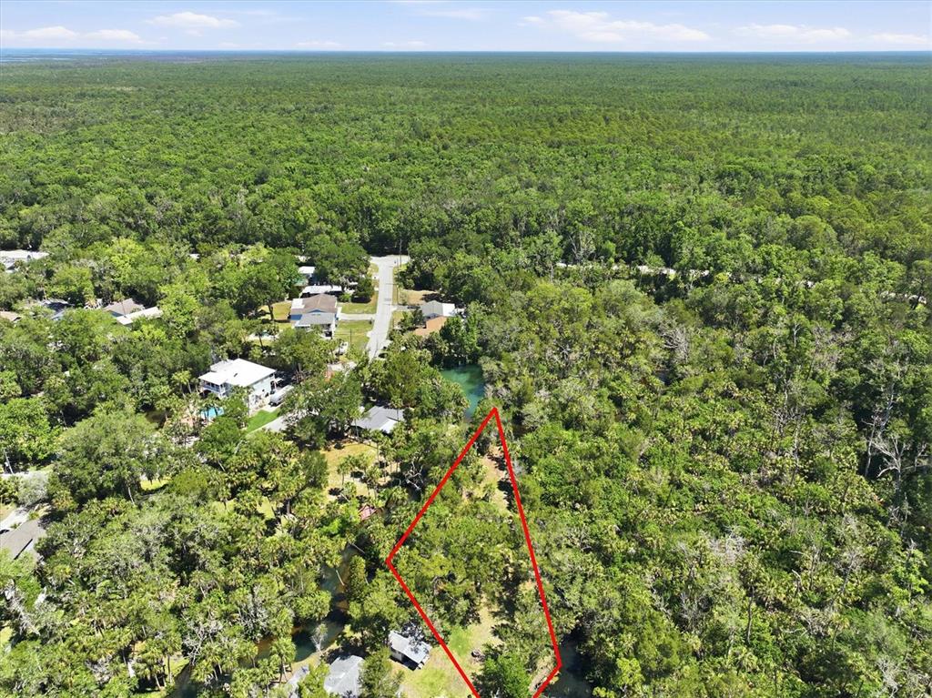 6248 Colony Circle Weeki Wachee, FL 34607 - Photo 13 of 20 a view of a green field with lots of bushes