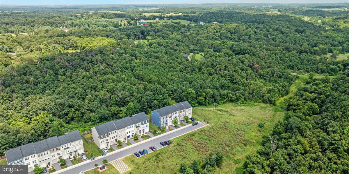 267 Patchwork Drive Stephenson, VA 22656 - Photo 25 of 41 a view of a city with lush green forest
