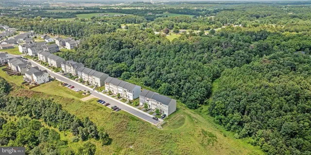 a view of a yard with a street