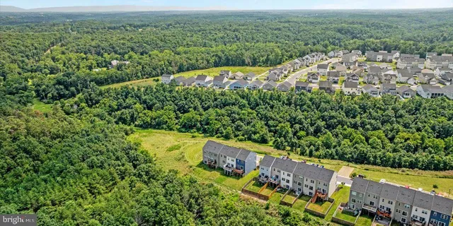a view of a lush green field