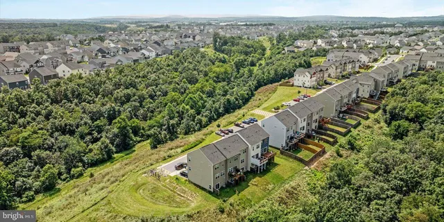 a view of a yard with a lush green forest