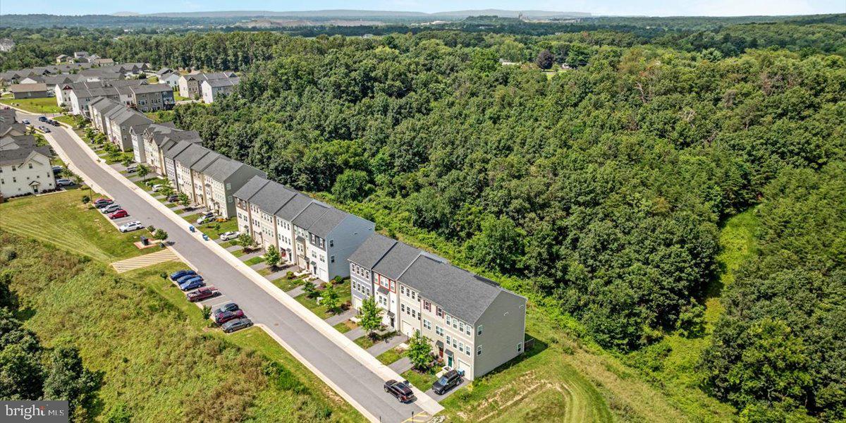 267 Patchwork Drive Stephenson, VA 22656 - Photo 31 of 41 a view of a yard with a lush green forest