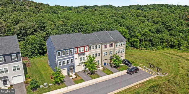 a front view of a house with plants and trees