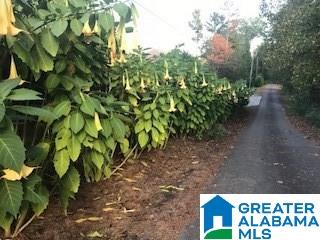 6527 Hawks Place Leeds, AL 35094 - Photo 39 of 39