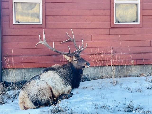 810 Larkspur Road Estes Park, CO 80517 - Photo 40 of 44 a bedroom with a bed and a dresser