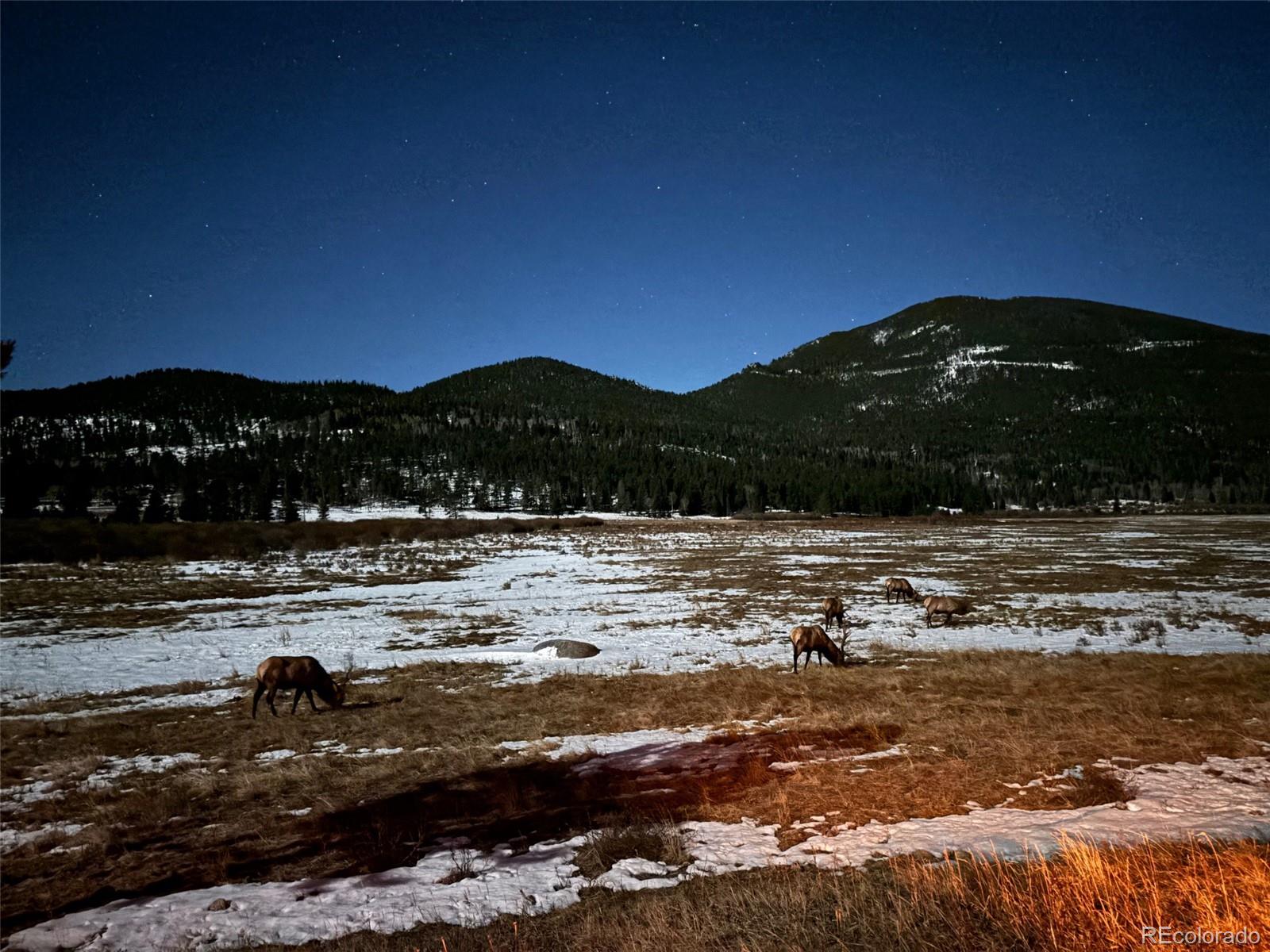 810 Larkspur Road Estes Park, CO 80517 - Photo 41 of 44 a view of lake with mountain