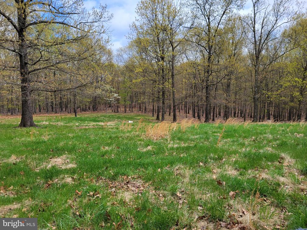 3045 Mann Road Hancock, MD 21750 - Photo 8 of 11