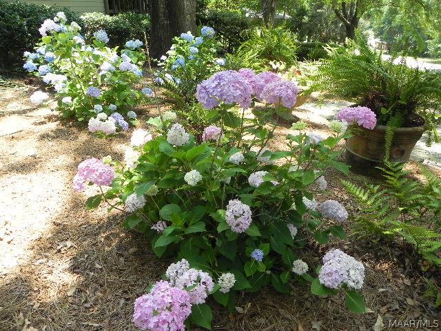 204 East Sand Creek Road Enterprise, AL 36330 - Photo 36 of 36 Gallery Image 36