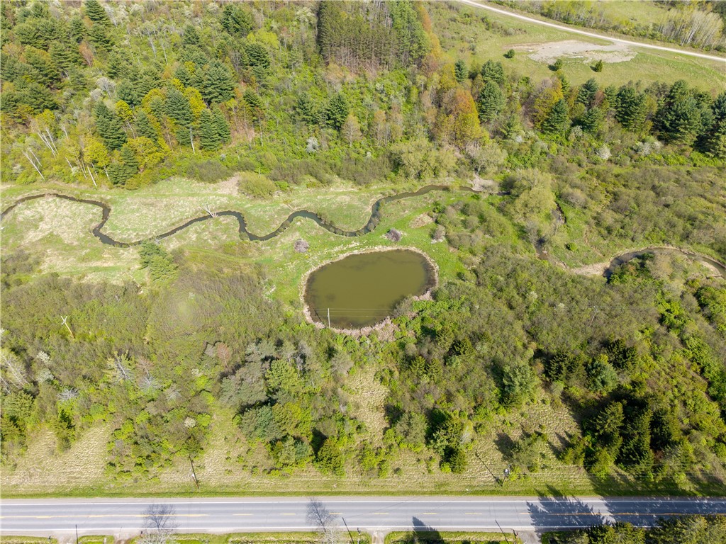 0 County Route 13 Bath, NY 14810 - Photo 25 of 26
