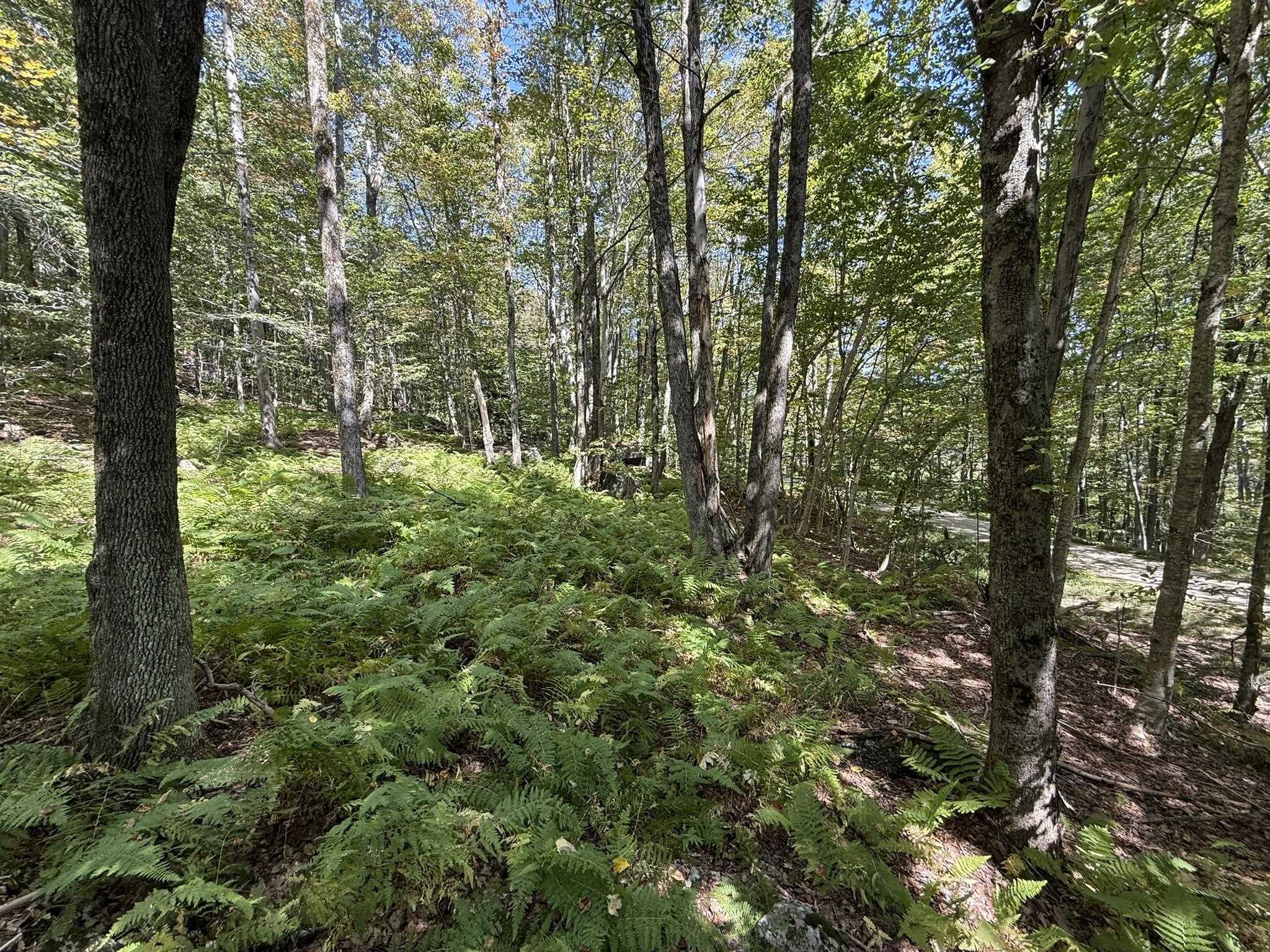 16 Schenk Road, Unit LOT #16 Stamford, VT 05352 - Photo 7 of 13 Gallery Image 7