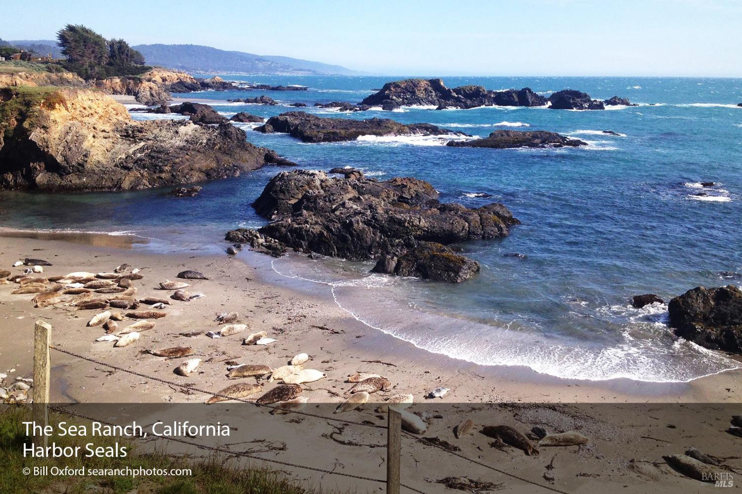38240 Greenvale Close The Sea Ranch, CA 95497 - Photo 6 of 10 a view of a terrace