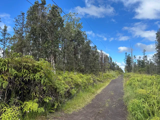 a view of a pathway both side of grassy field with trees