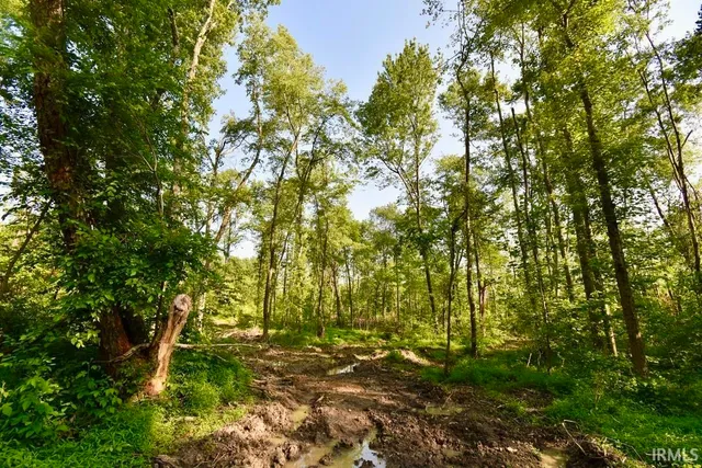 $295,000 | 0 Crowville Road, Boonville, IN 47601