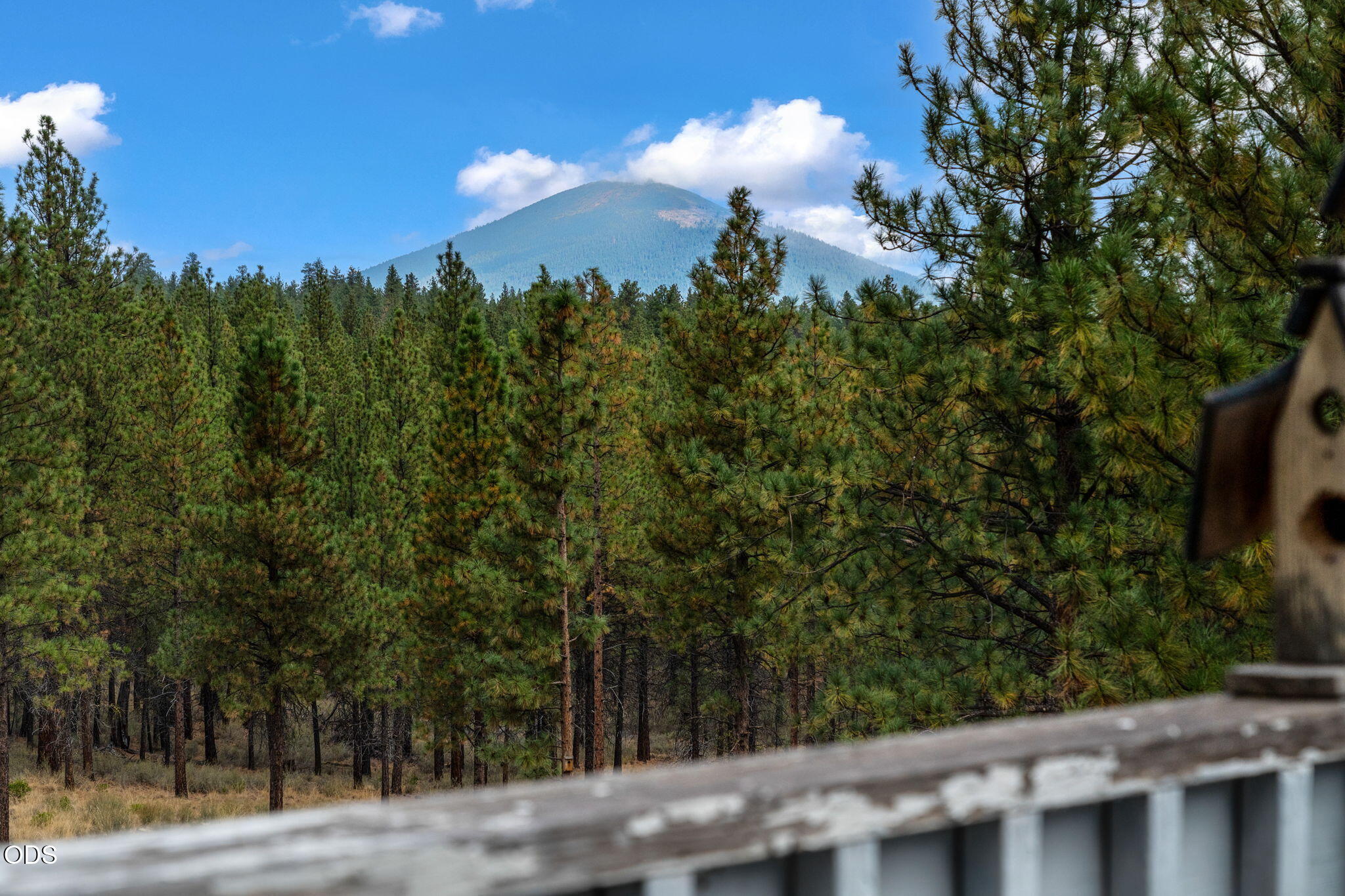 14857 Wildwing Road Sisters, OR 97759 - Photo 6 of 42 Gallery Image 6