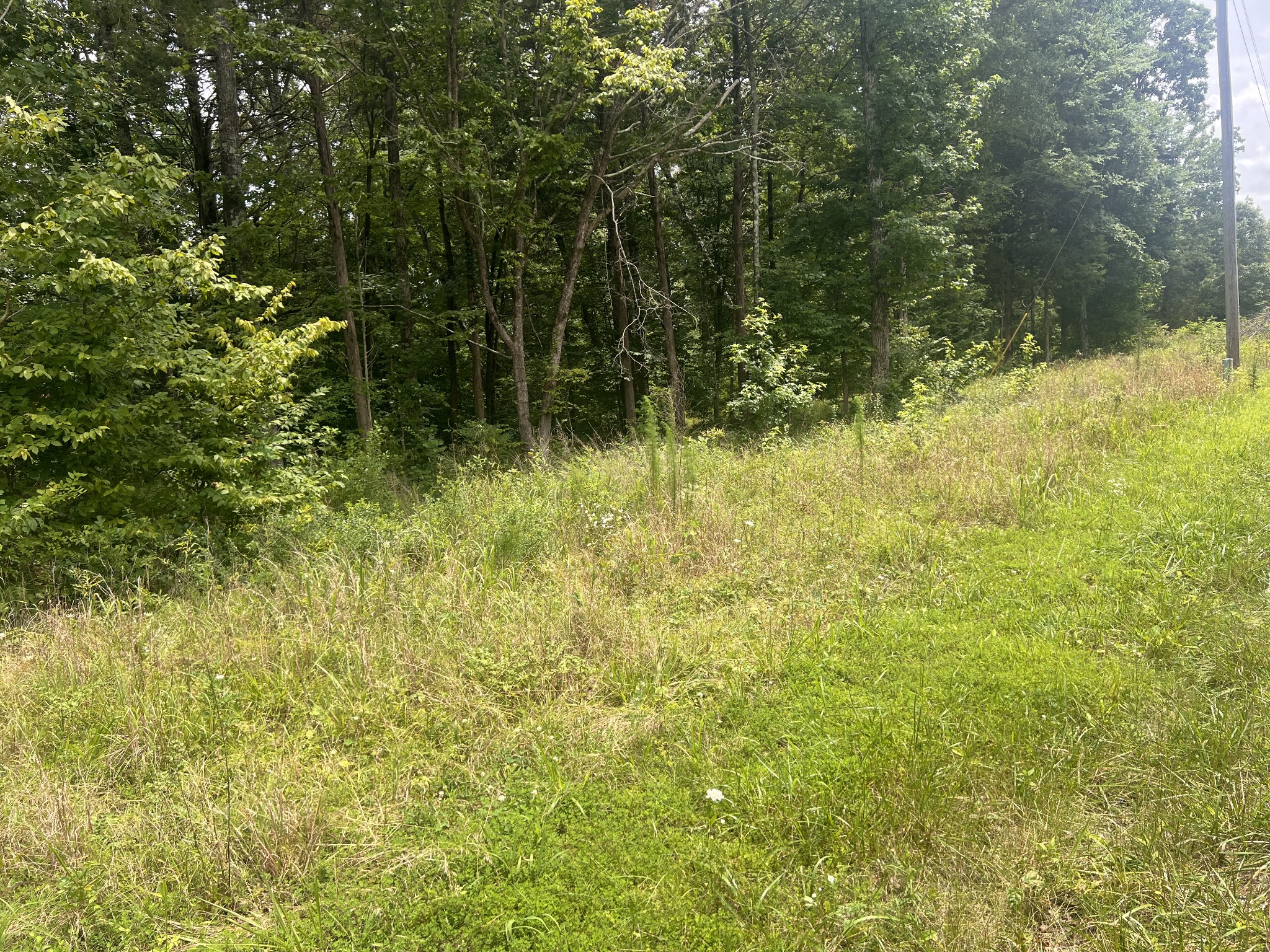 2 Toms Creek Lake Road Linden, TN 37096 - Photo 7 of 11