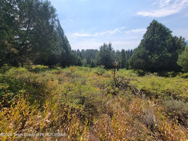 $165,000 | L61-b4 Cutthroat Run, Irwin, ID 83424