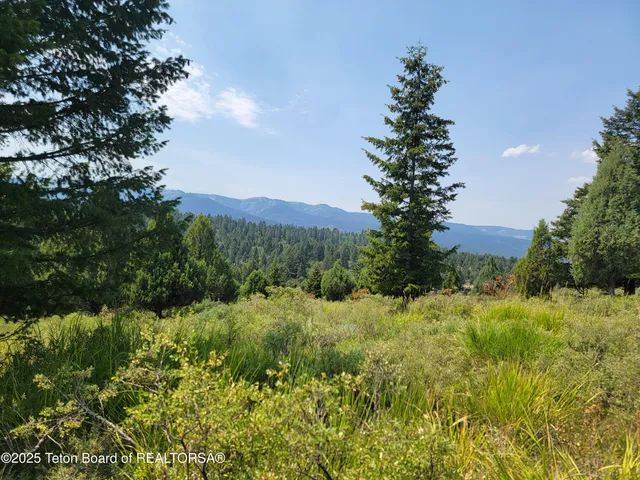 $165,000 | L61-b4 Cutthroat Run, Irwin, ID 83424