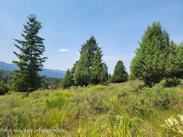 $165,000 | L61-b4 Cutthroat Run, Irwin, ID 83424