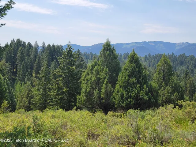 $165,000 | L61-b4 Cutthroat Run, Irwin, ID 83424