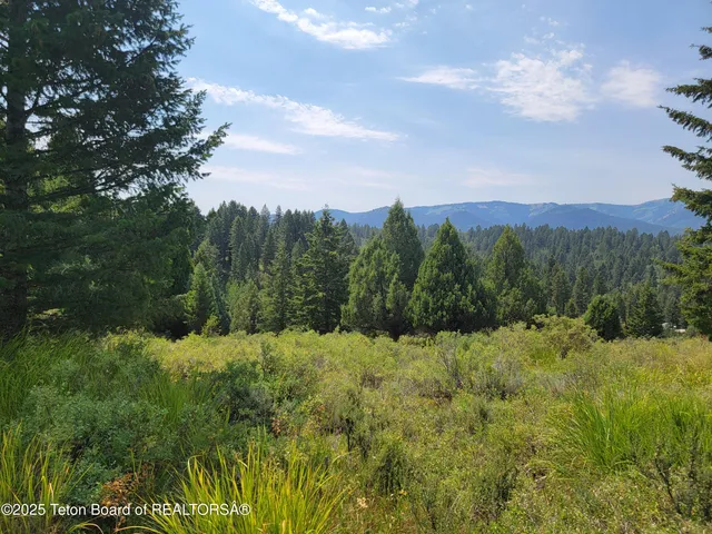 $165,000 | L61-b4 Cutthroat Run, Irwin, ID 83424