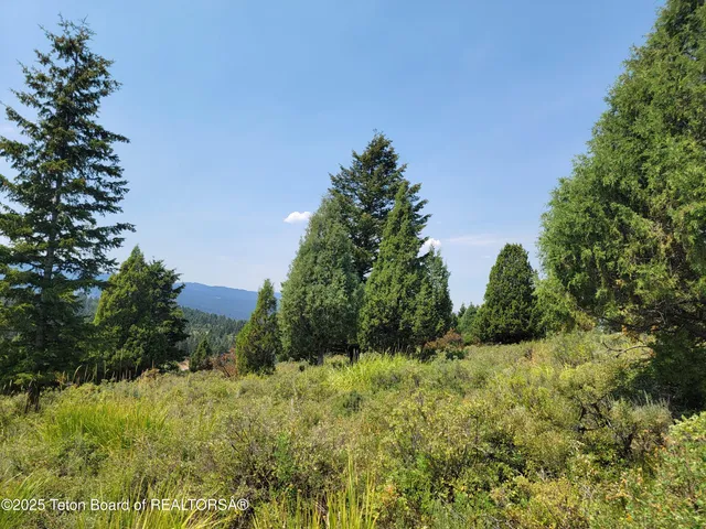 $165,000 | L61-b4 Cutthroat Run, Irwin, ID 83424