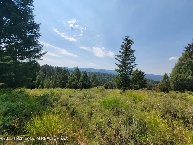$165,000 | L61-b4 Cutthroat Run, Irwin, ID 83424