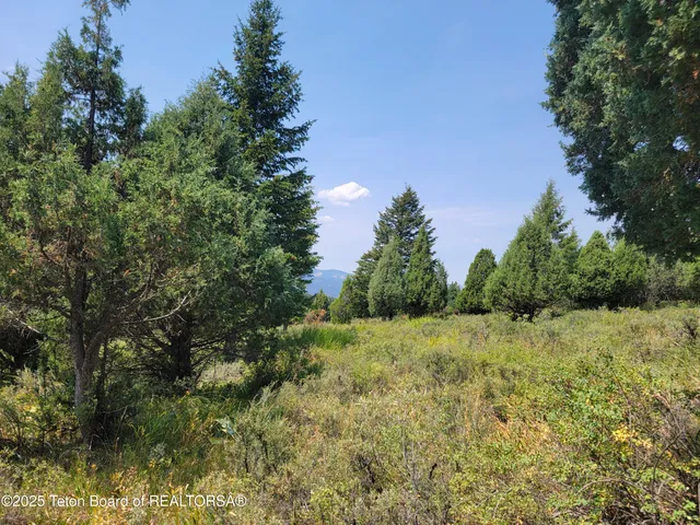 $165,000 | L61-b4 Cutthroat Run, Irwin, ID 83424