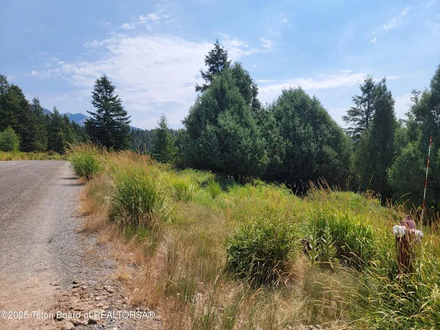$165,000 | L61-b4 Cutthroat Run, Irwin, ID 83424