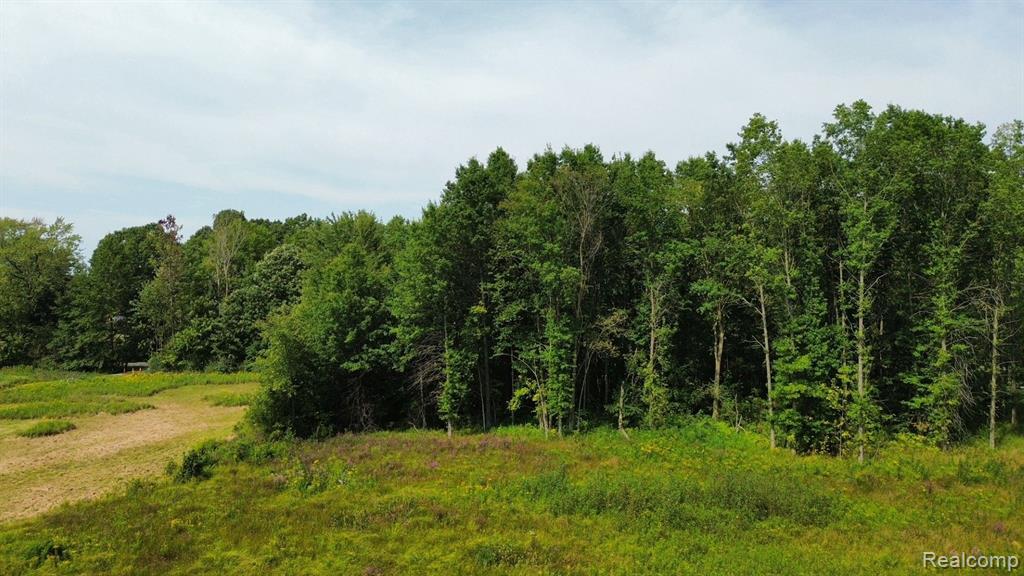 0 Springborn Road Casco, MI 48064 - Photo 5 of 7