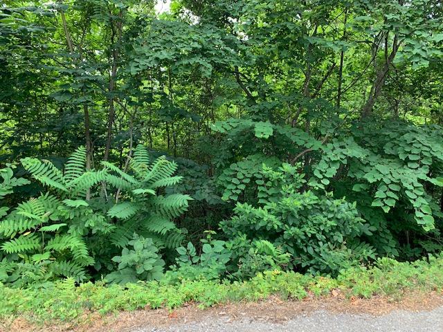 Lot 18 Booker Road Maynardville, TN 37807 - Photo 2 of 2 Lot 18