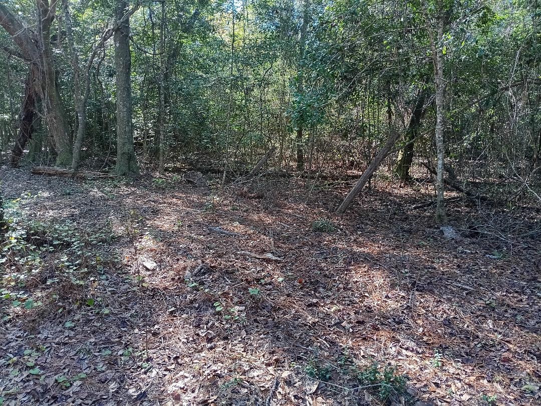 0 Carpenter Lane Bay Minette, AL 36507 - Photo 8 of 14 View