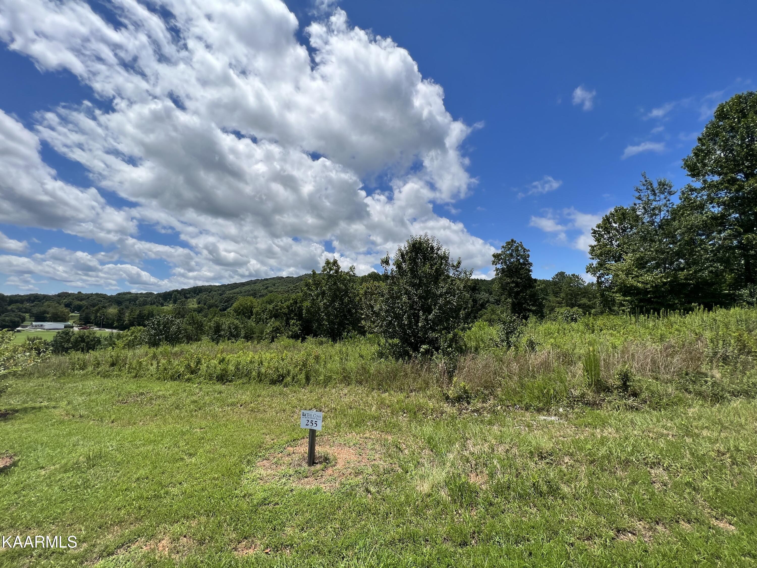Lot 6 Huffine Road Loudon, TN 37774 - Photo 1 of 4 IMG_5025 copy